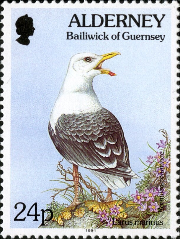 The North Pole Scene