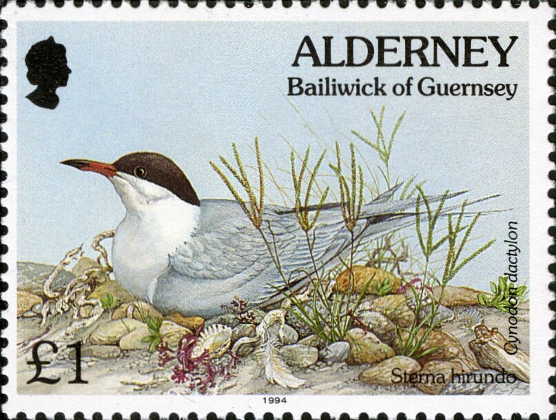 Darguinah Hydroelectric Plant