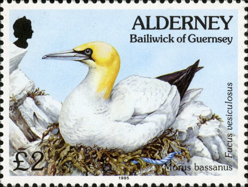 Fruits of the Mediterranean Region