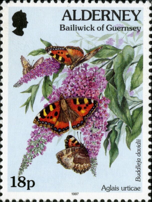 Potez 56 Airplane over Algiers Harbor