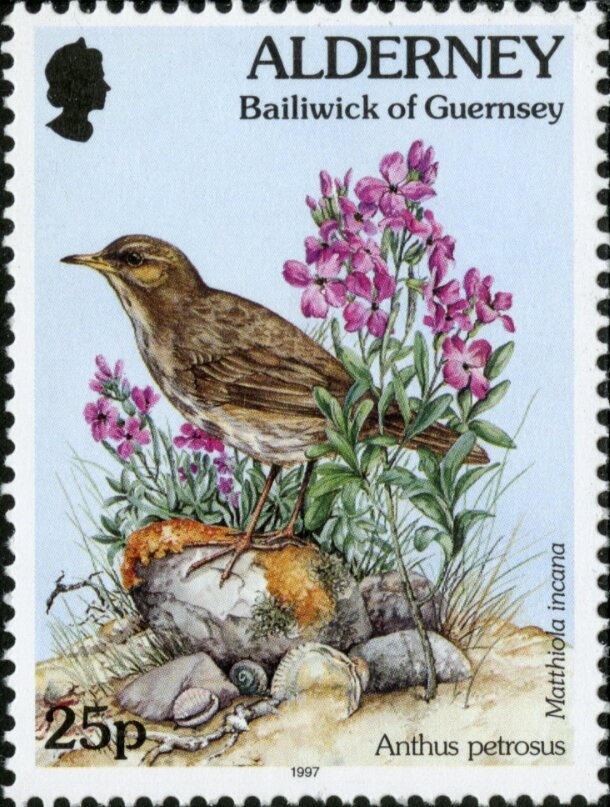 An Elf Comforting A Sad Rudolph