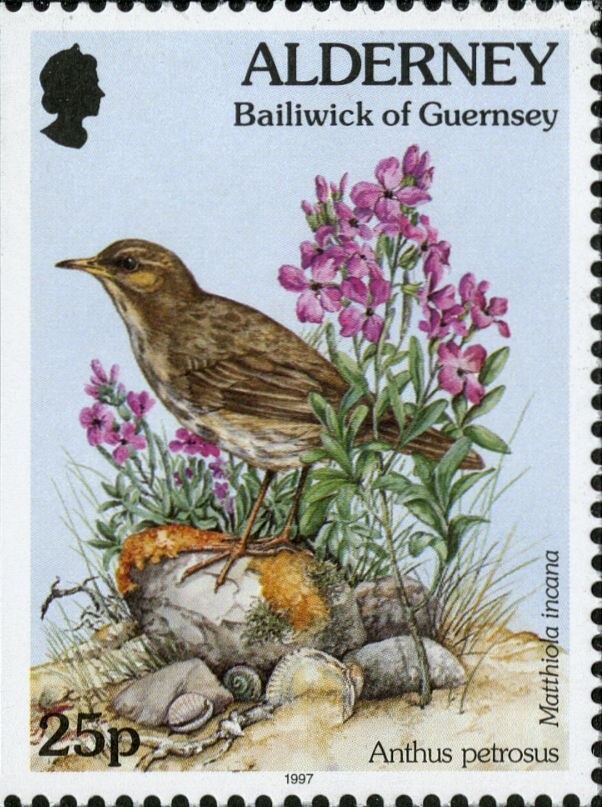 Football and World Cup