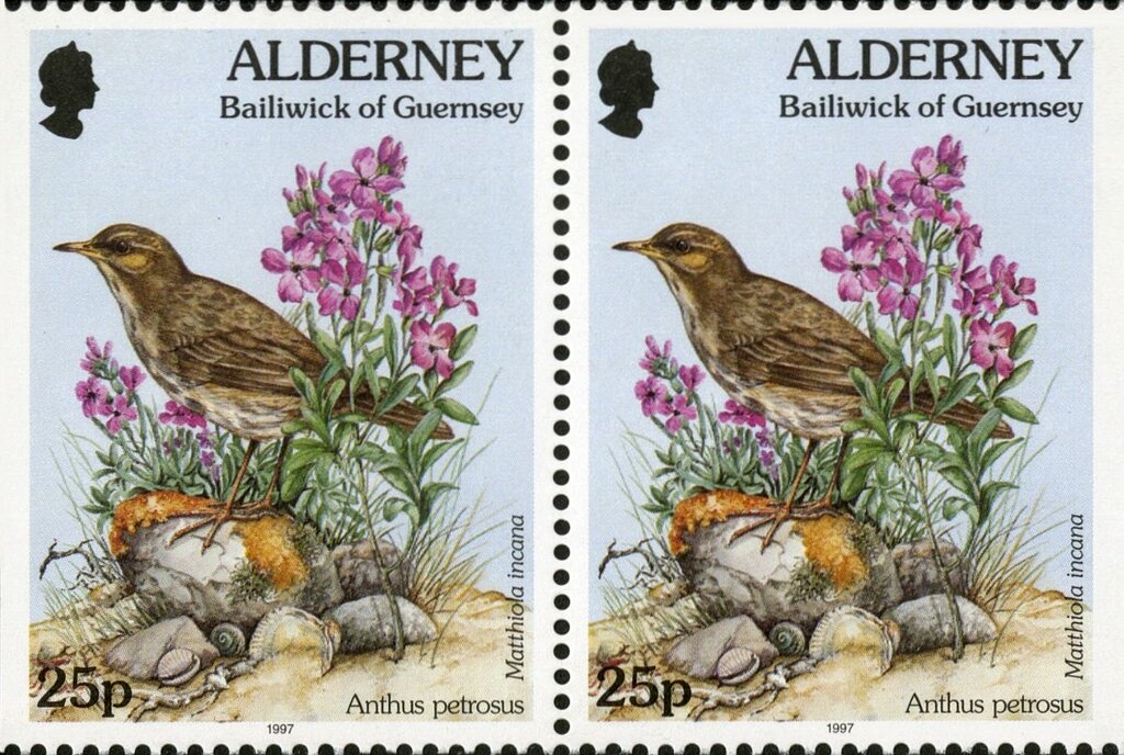 Miles Hawk Speed Six