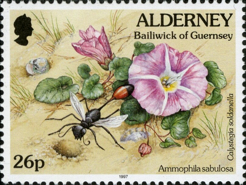 Roosevelt, Churchill, Kastrioti