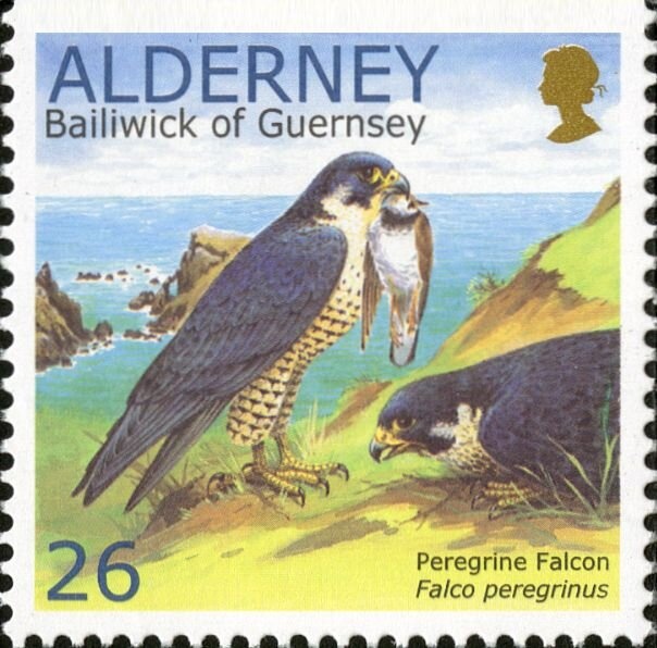 Breakwater, completed 1856