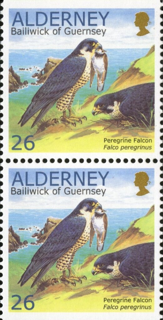 Red Coral (Corallium rubrum)