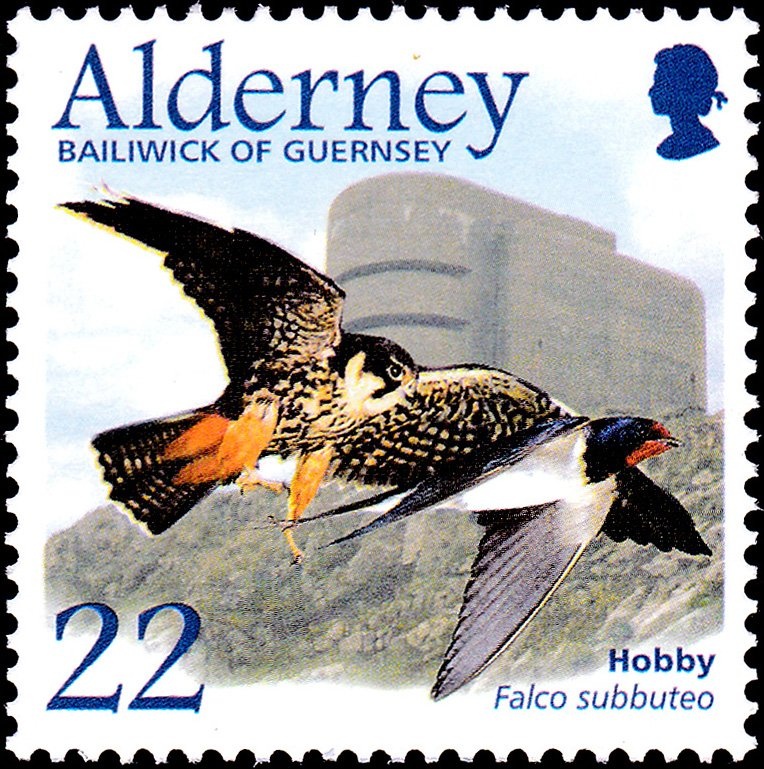 Norman Knights Charge the Saxon Shield Wall