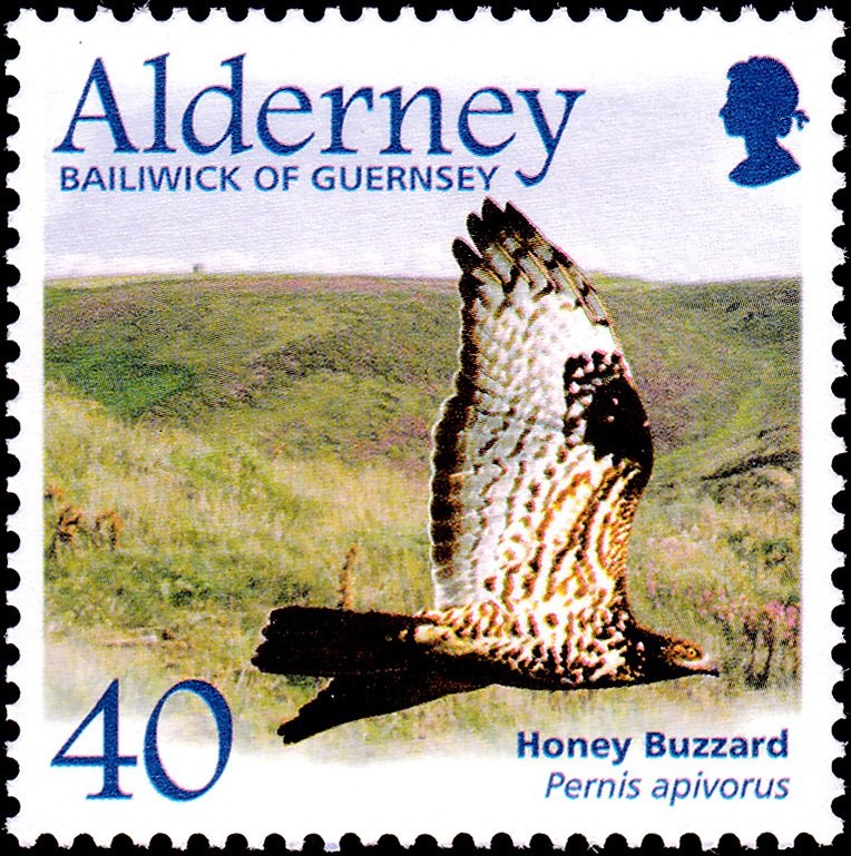 Blow the Circle (1978), by Fatmir Haxhiu