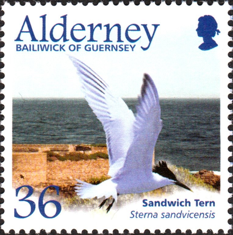 Coat of Arms of Algiers