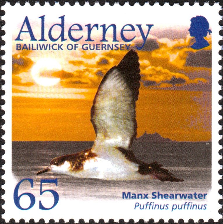 Wright Brothers Flyer I, 1903