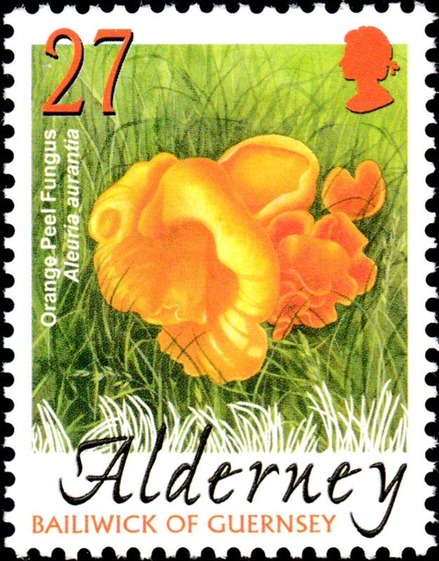 150th anniversary of the first Postage Stamp