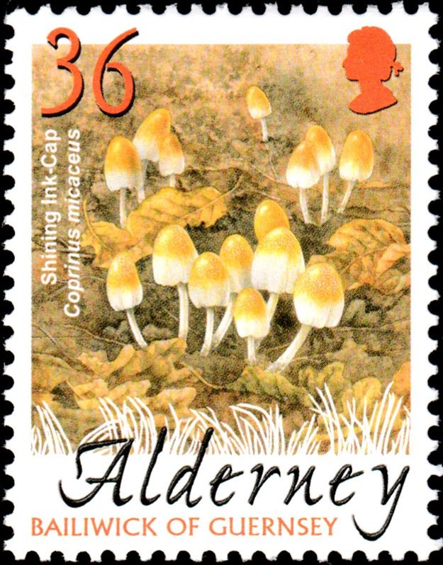 Road Design and Hills