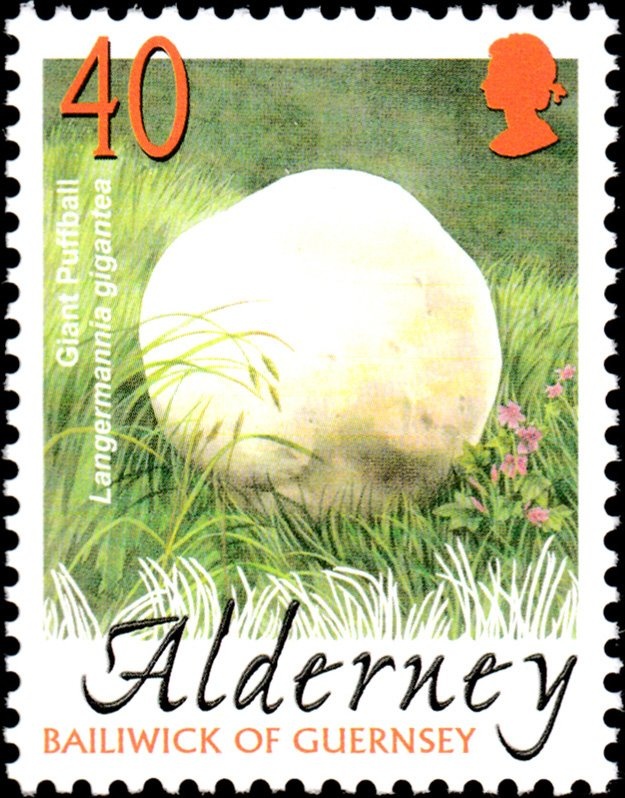 10th Anniversary of the Battle of Bir-Hakeim