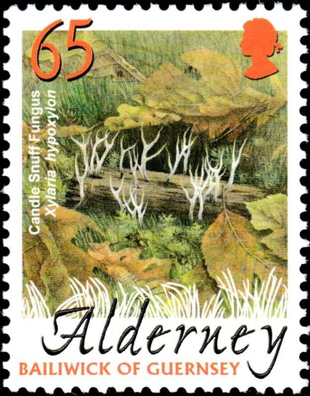 Milan Šufflay (1879-1931), Croatian historian and politician