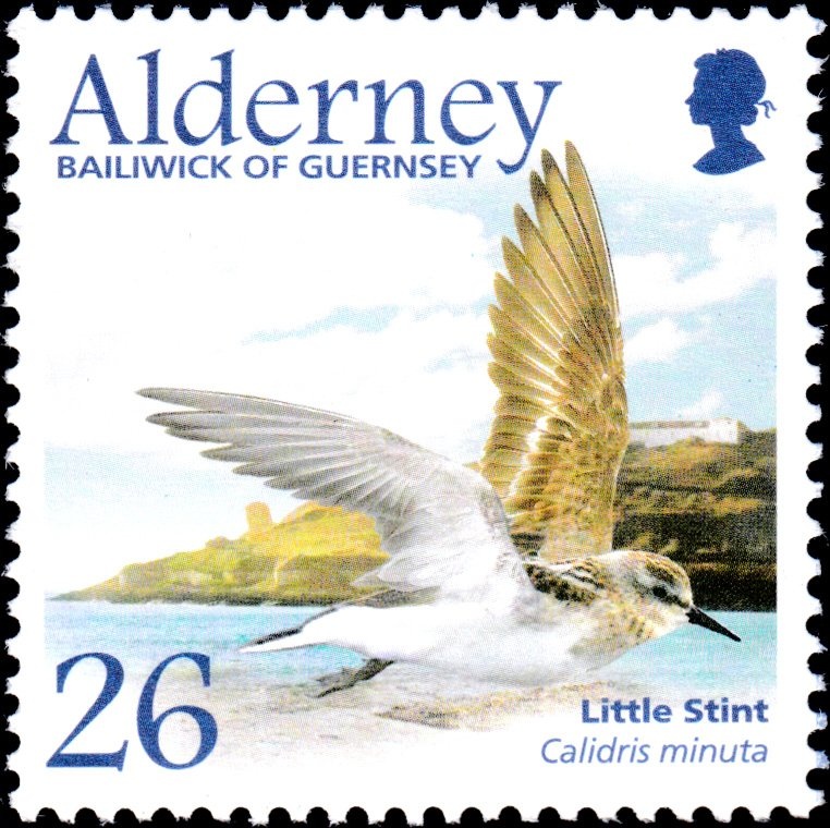 The Black Overprint "ΕΛΛΗΝΙΚΗ ΔΙΟΙΚΗΣΙΣ" (Hellenic Admin.)