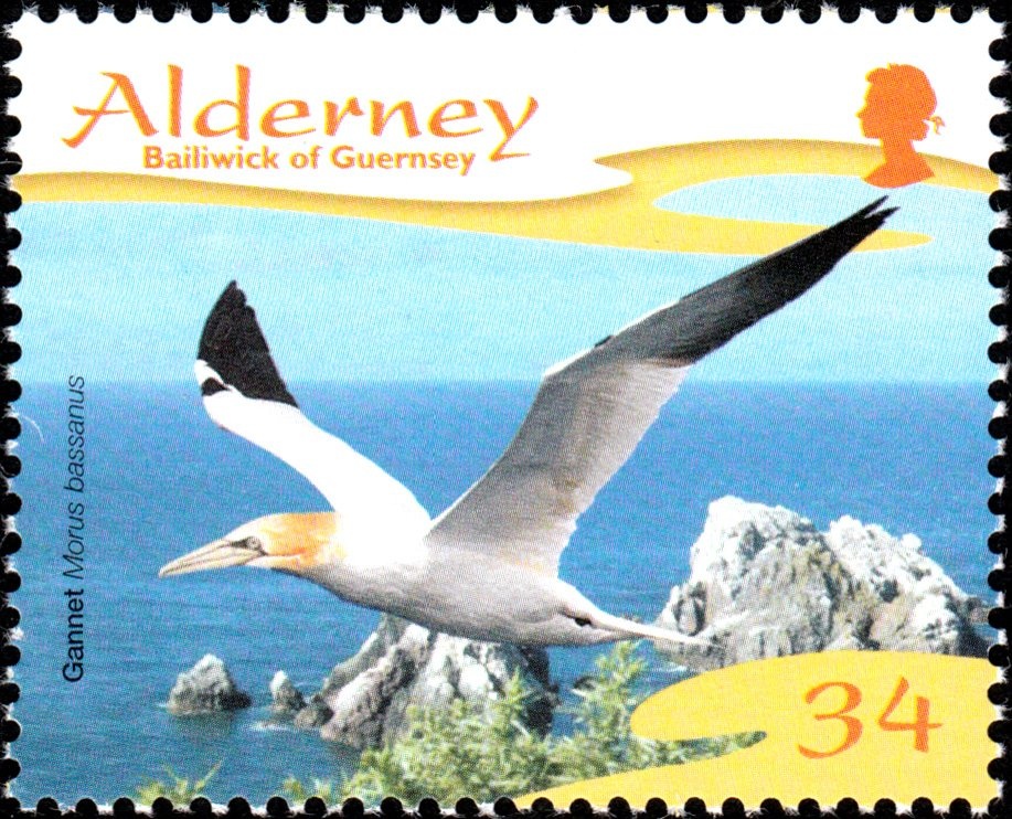 William the Conqueror