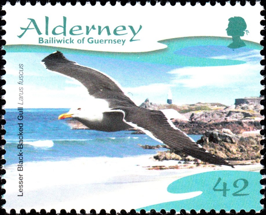 Anthus petrosus, Matthiola incana (booklet)