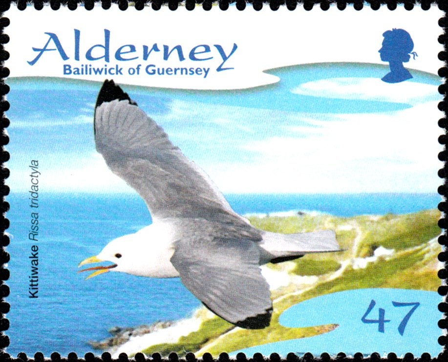 Warrior and view of Valona (Vlorë)