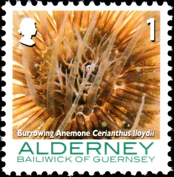 Centenary of Diplomatic Relations with USA