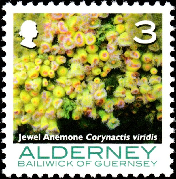 Osaka 2025 International Exposition