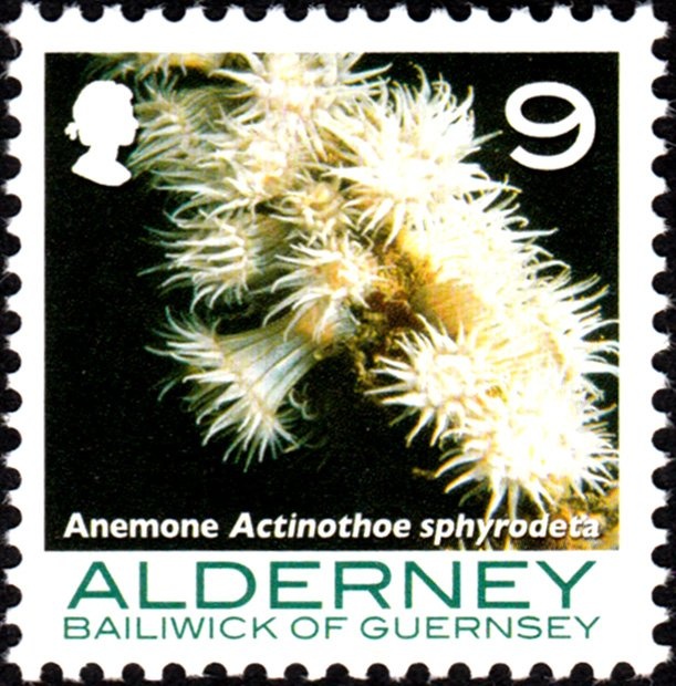 Centenary of the Kosovo National Defense Committee