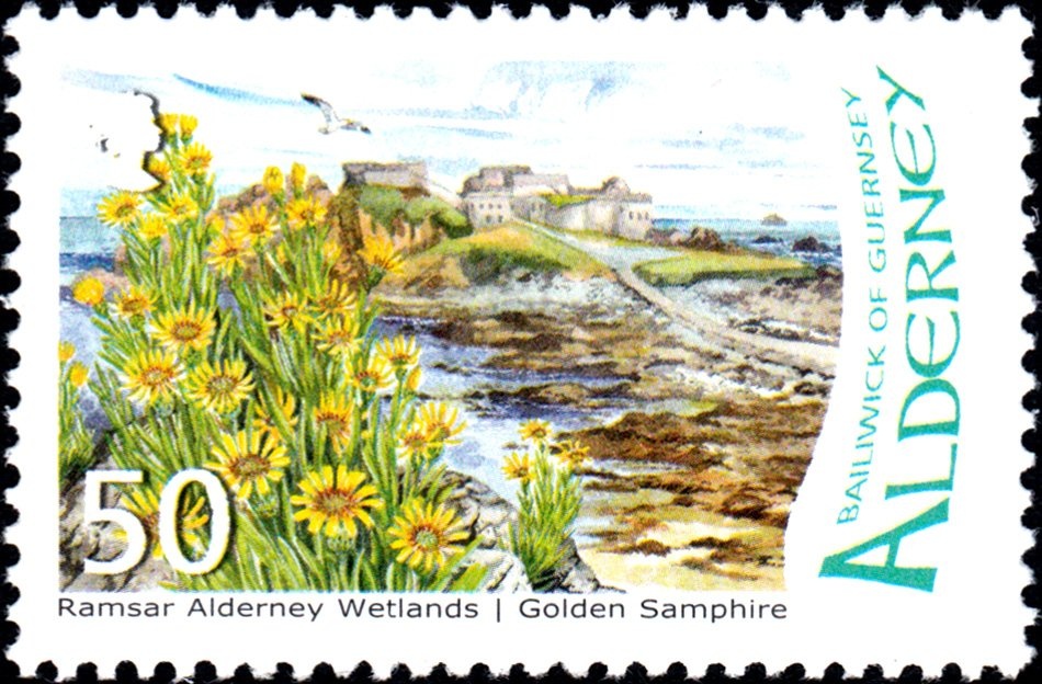 Larus marinus, Romulea columnae I(L)