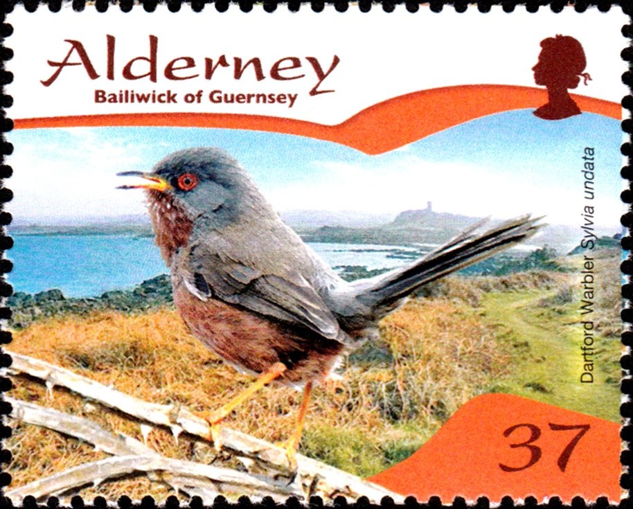 Diplomatic Relations with Germany, Centenary