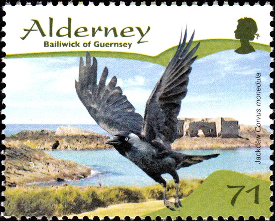 Tourism in Albania : Lake Ohrid