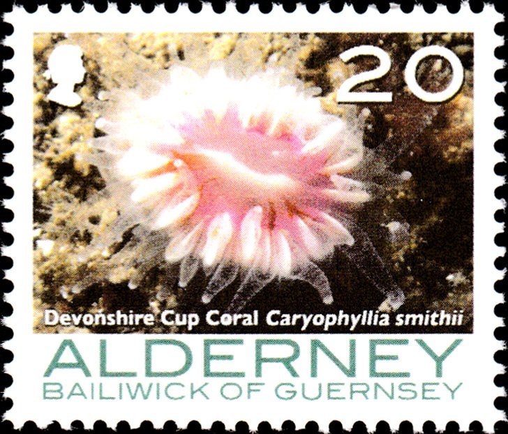 Recent Archaeological Discoveries