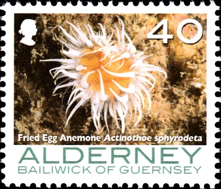 Hawker Sea Fury FB11