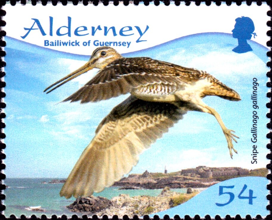 Albanian Repulic inverted overprint