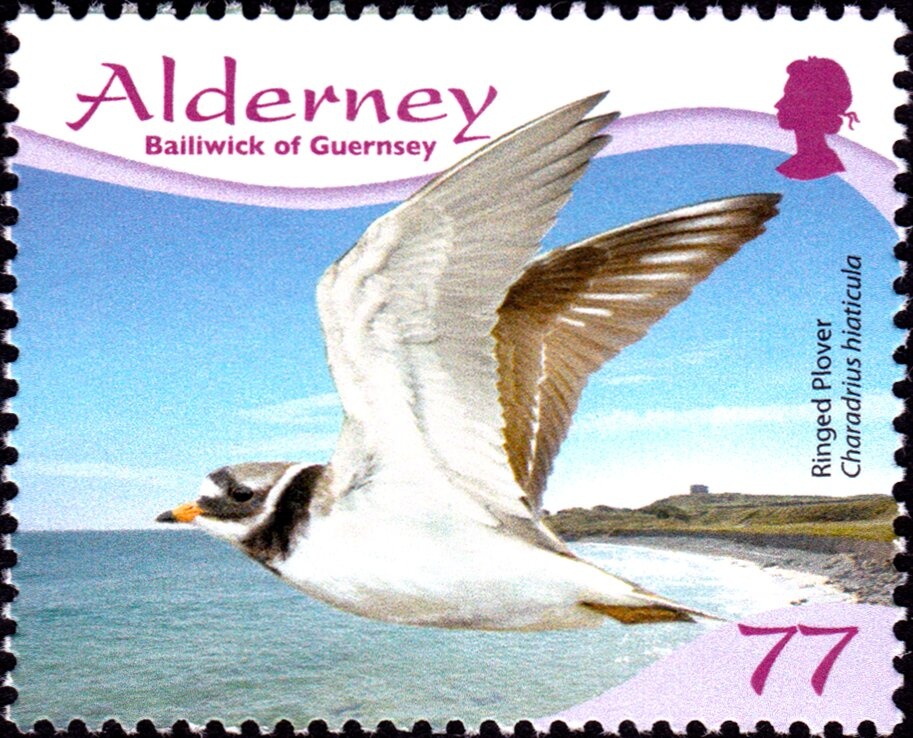 Fire Service - Fire Engine