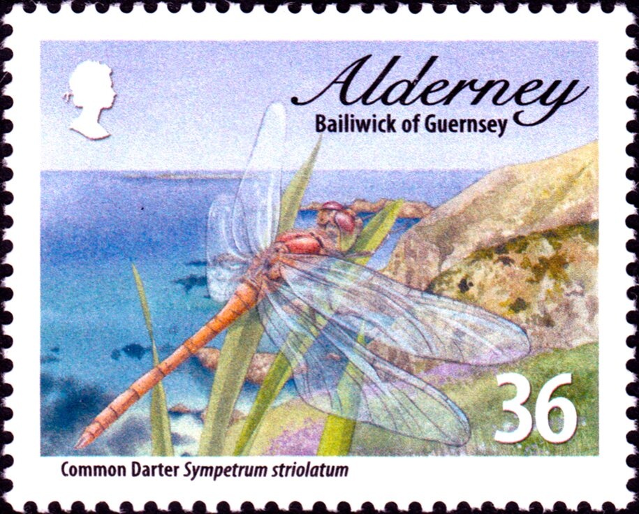 Apple (Malus communis)