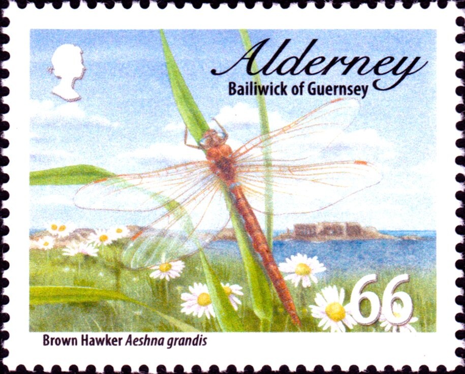 Eagle and Value, overprinted “QIND. AR ” in Red