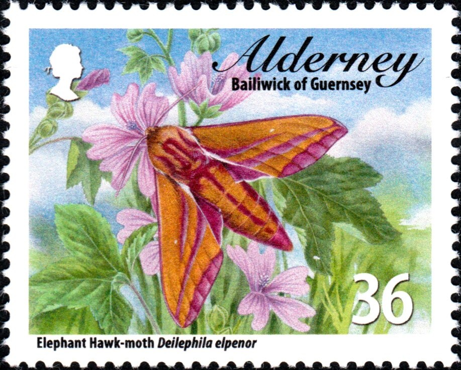 Roman marble statue of officer (1st cent. B.C.)