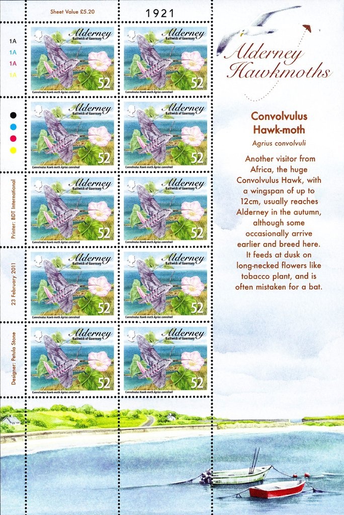 Bank Building in Korçë