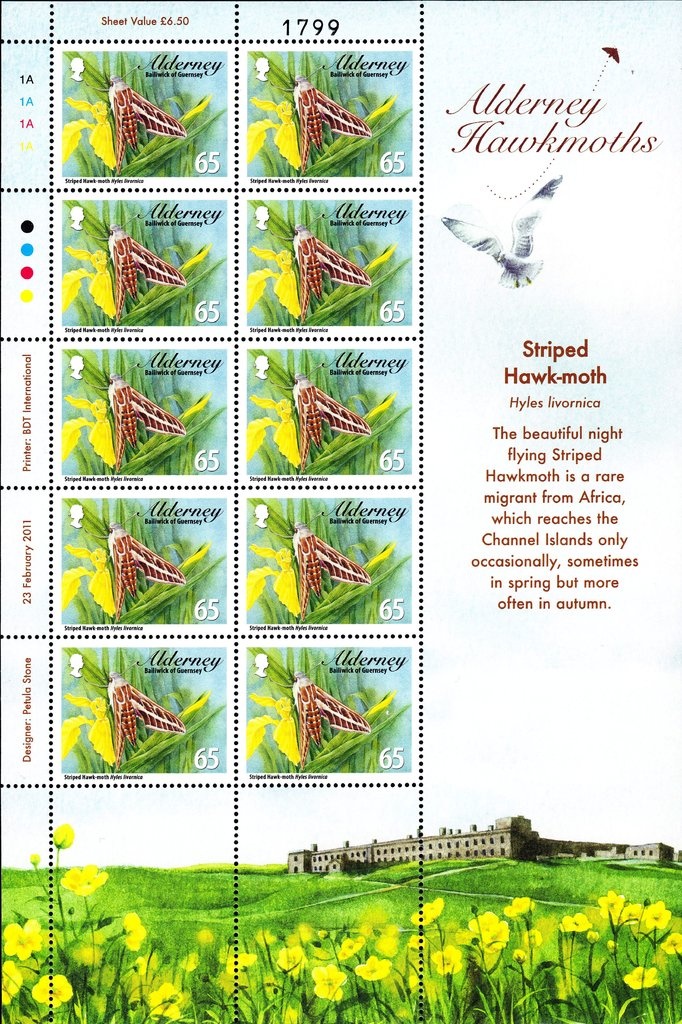 Beadlet Anemone (Actinia equina)