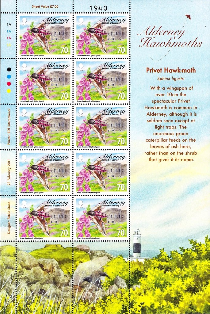 Traditional Folk Dance of Albania