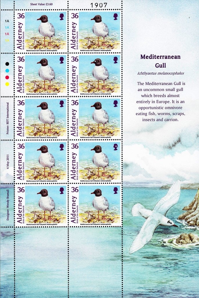 Terrence Hanbury White 100th Anniversary