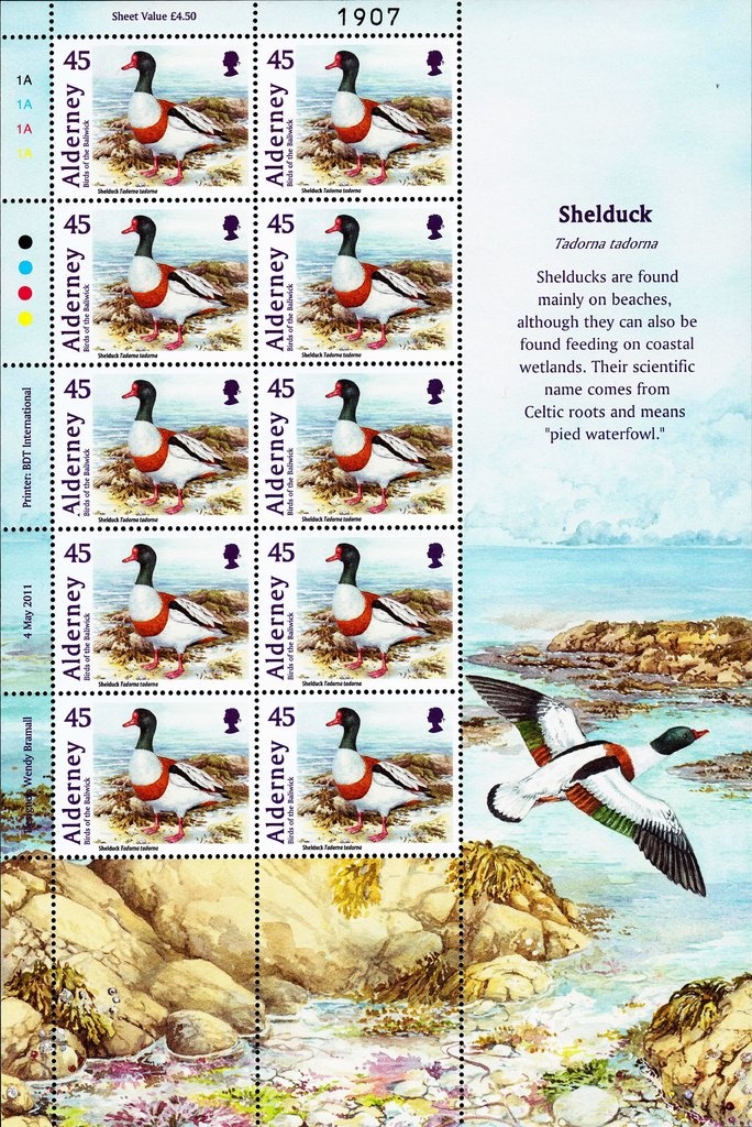 Winter Olympics 1964, Innsbruck