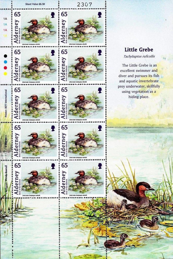 Dwarf Thistle (Cirsium acaule)