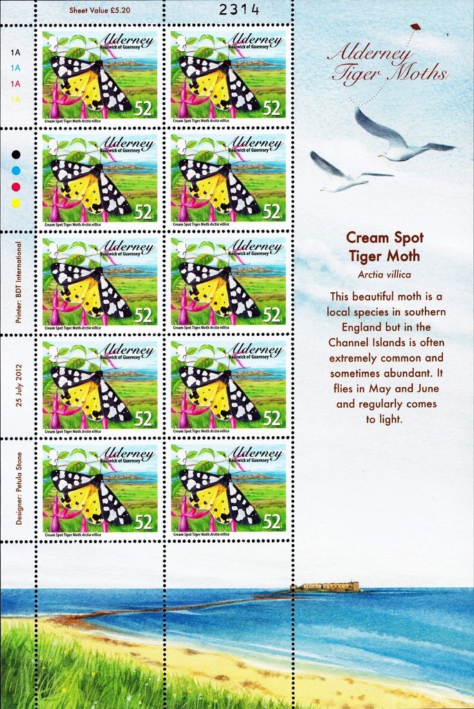 Coins from different settlements (1st-5th cent. B.C.)