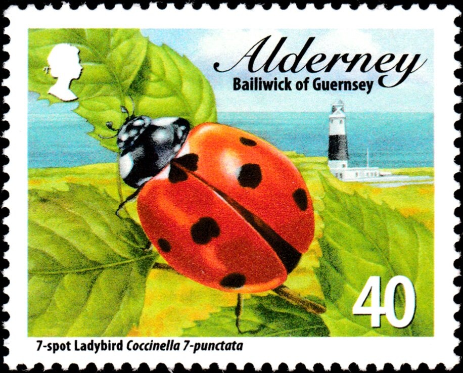 Queen Victoria arrives ashore, The royal yacht at anchor