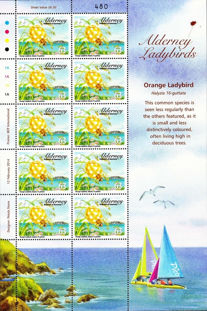 Field Gun & Crew / Parade of 9th Bn Royal Garrison Artillery