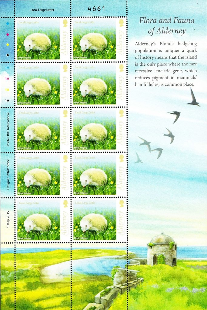 Dove, map of the world and emblem