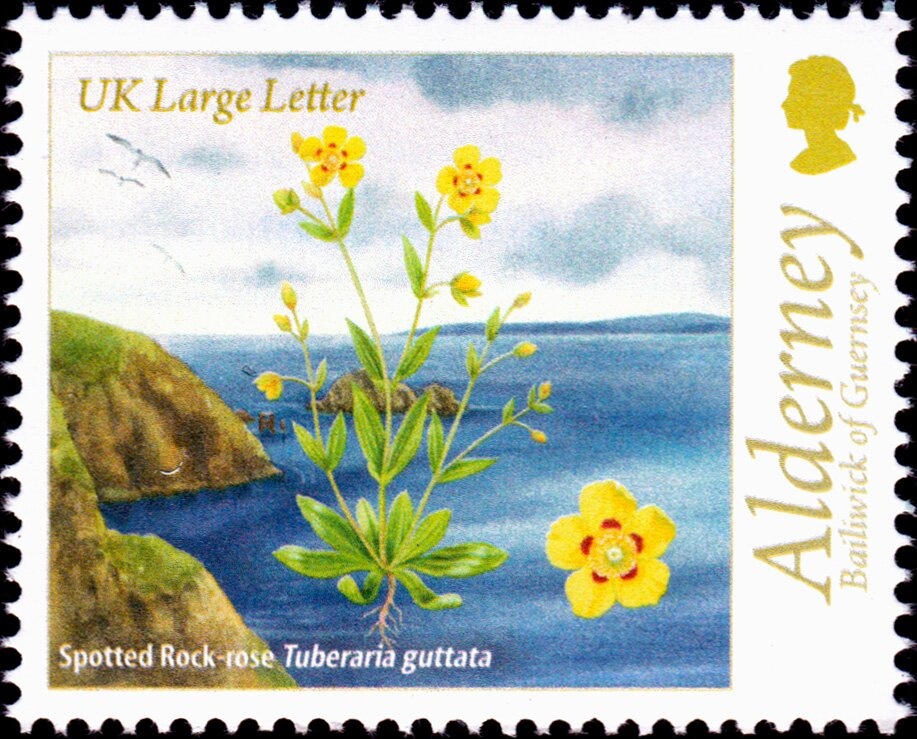 Constantine (Type I)