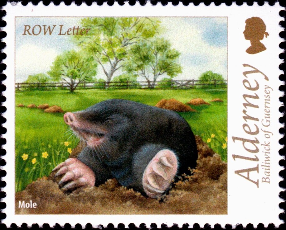 Olympic Games, Moscow