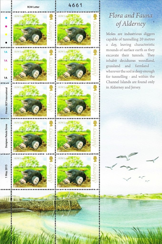 Skanderbeg (George Castriota) and coat of arms