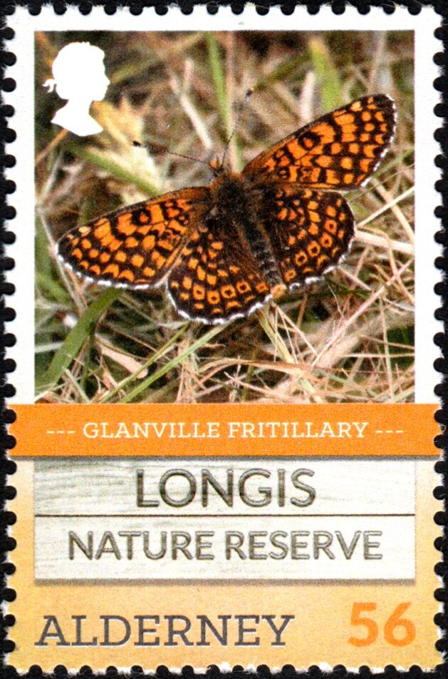 Sakina Makkiyu, Actor