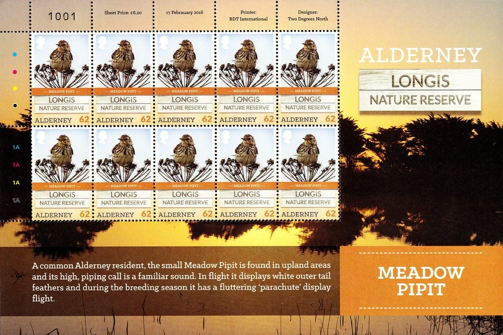 Physalis (Cape Gooseberry)